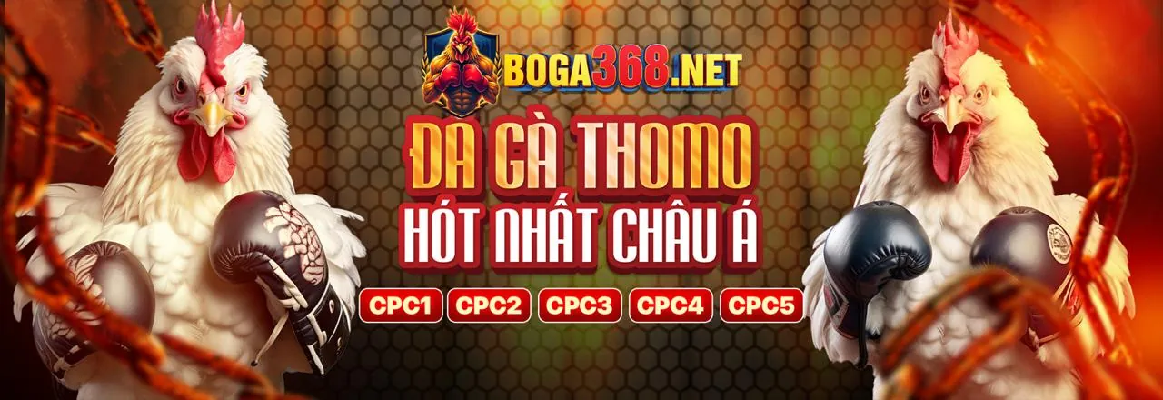 Sới gà trực tuyến 123b cổng game chính thức