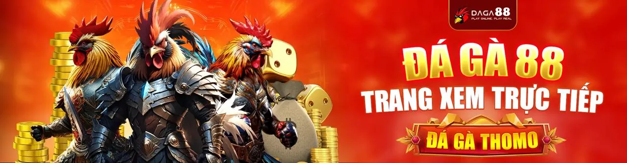 Hình ảnh chính: Cá cược thể thao sôi động tại 123b cổng game chính thức